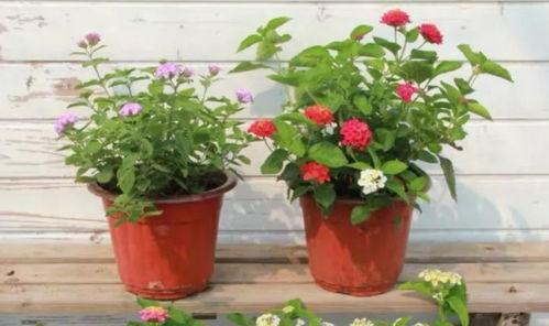 香港爆款最新爆料视频,最新热门爆料瞬间回顾 第3张 香港爆款最新爆料视频,最新热门爆料瞬间回顾 第3张